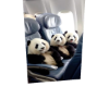 Panda 2