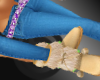 ! Skinny Jeans Ugg Boots