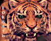 IO-Tiger Pet&Sounds