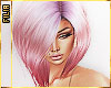 ♠|Majde Dahlia