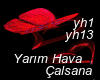 Yarım Hava Çalsana