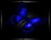 [SS] Blue Butterfly
