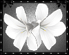 Tantalise Flower White