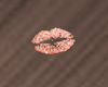 Rose Gold Kiss Lips