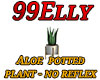 Aloe plant - no reflex