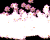 DJ PINK FLOWERS LIGHT
