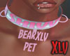 NDXLV:Shivvy Pet Collar