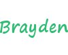 Brayden Arm Band