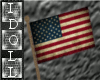 Flag Waving :i: USA
