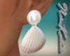 Shell earrings
