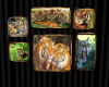 6 Pictures of Tigers