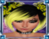 [BH] Sunflower