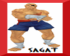 Sagat-Street Fighter F/M