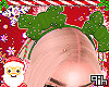 ðð» Santa Daimond