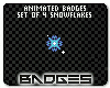 Snowflake Badge Set