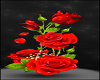 Send Her Roses Blast of Stars Romantic