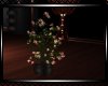 *Fallin Planter 5