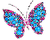 [j] cuty butterfly
