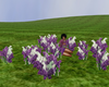 Purple Meadow Flowers