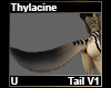 Thylacine Tail V1