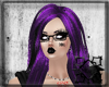 Avil Purple