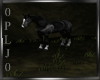 RomanticMoonlight(Horse)