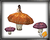 (ED1)Yellow Mushrooms