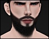 Sech Long Beard MH