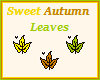 Sweet Autumn Leaves~3