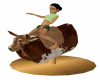 bull ride