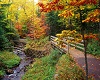 Fall Photo Background
