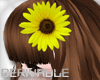 A! Sunflower Hair