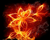 Fire Flower 3