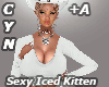 +A Sexy Iced Kitten BB