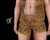 ๔ Cheetah Shorts