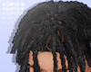 Fresh Dreads Black