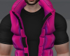 Puffer Vest  Sin $