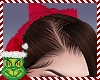 [BOB] Penny Ringo