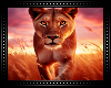 ♔ Lioness Background