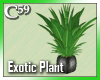 [C59] Exotic Leafy 2