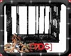 [TDS]Black Slave Cage