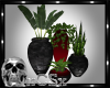 CS Lust Plants
