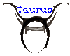 Taurus Tribal