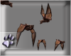 (dp) Dracs Bats
