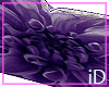 iD: Purple Body Pillow