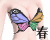 744 Butterfly Anim上衣