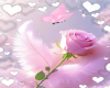Fluffy pink rose bg