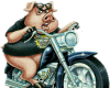 Hog on a hog