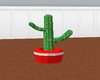 nice cactus