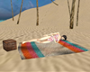 Beach Blanket(poses)